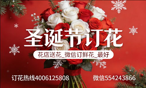 ����ͨ�ݻ���